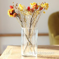 Zylinderglasvase transparent einfache Blütenglasvasen